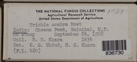 Image Associated With the Occurence